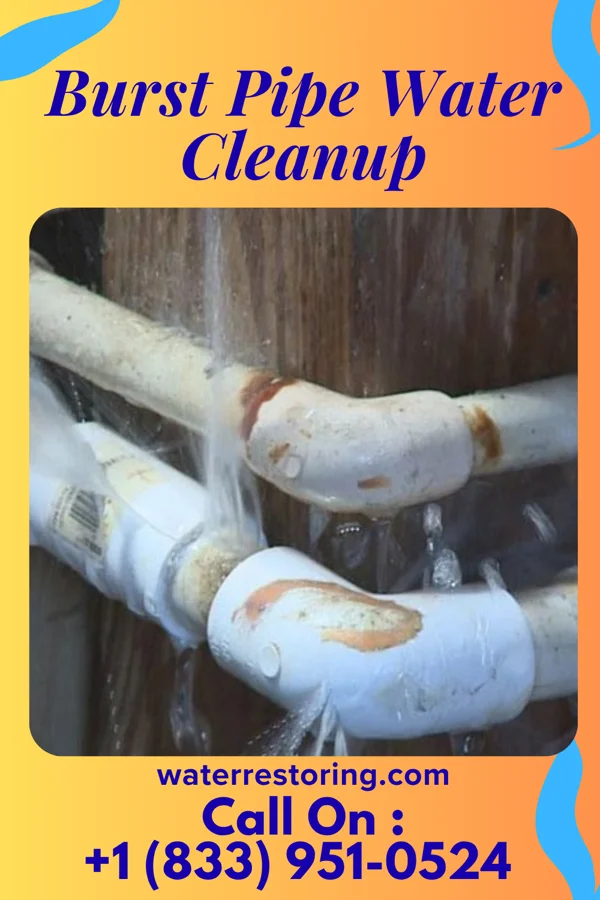 Burst Pipe Water Cleanup in North Braddock, PA