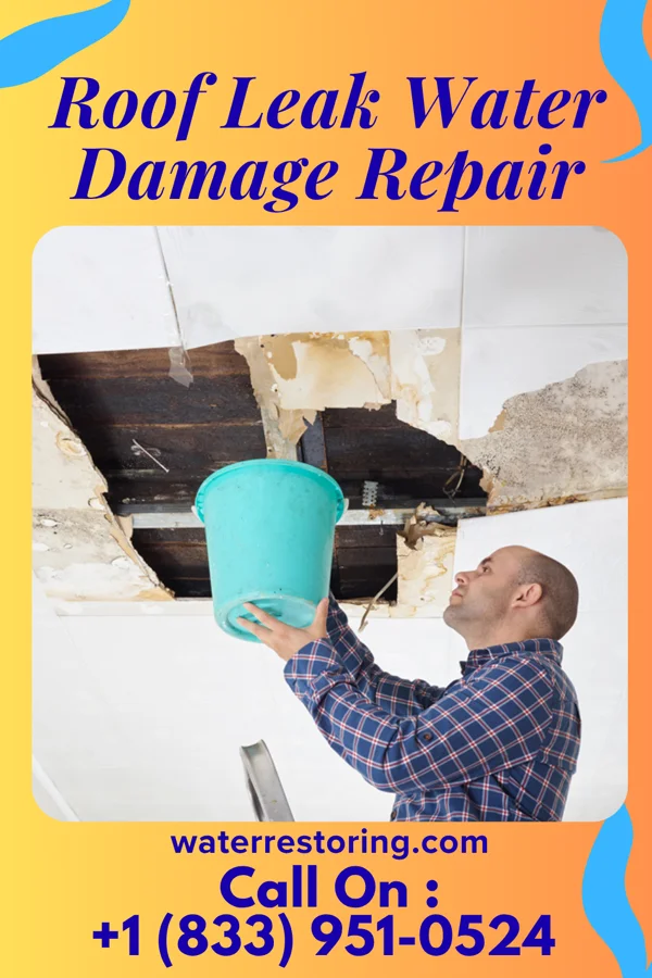 Roof Leak Water Damage Repair in North Braddock, PA